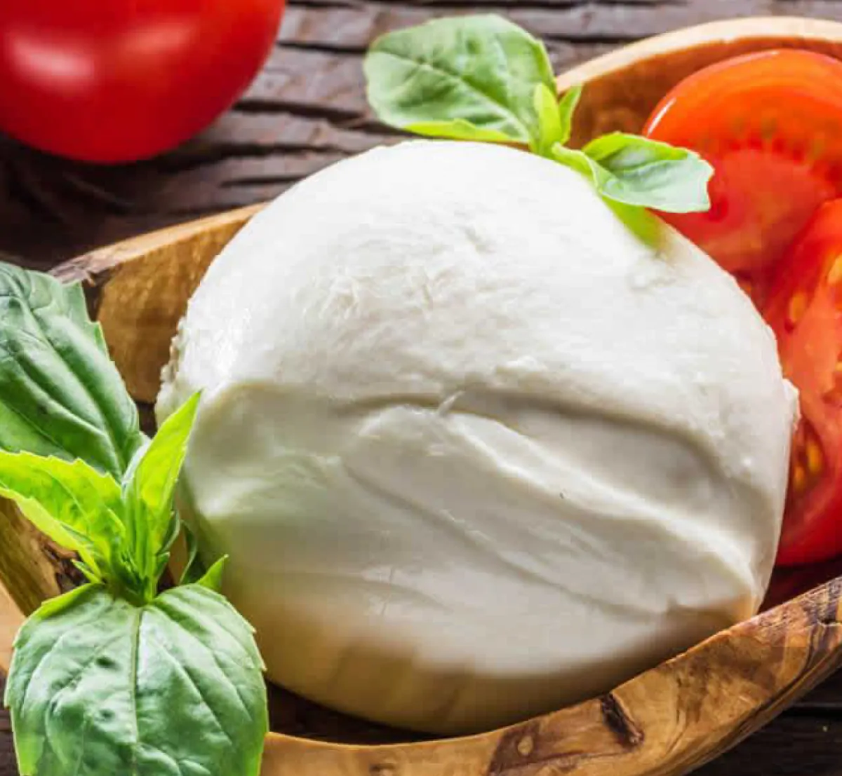 Mozzarella fresca con pomodori e foglie di basilico