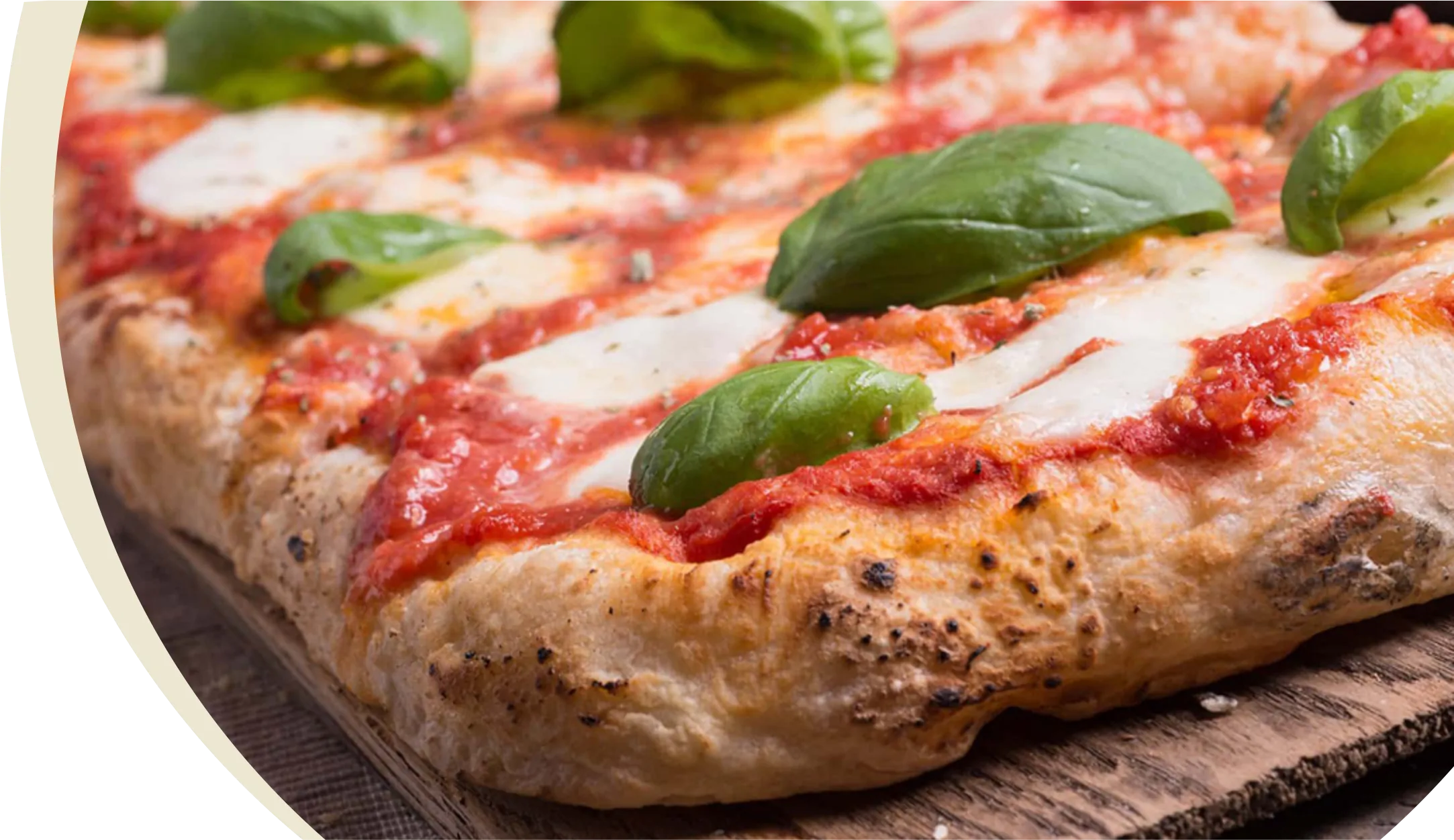 Pizza in teglia con pomodoro, mozzarella e basilico